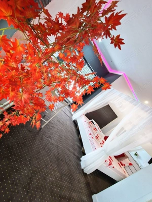 apartamrnt de lux  - imagine 5