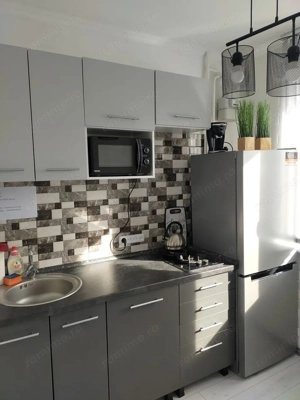 De inchiriat apartament cu o camera in zona Elisabetin - imagine 2