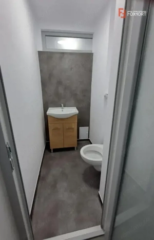 Spatiu Sad de inchiriat in apropiere de Iulius Mall - imagine 10