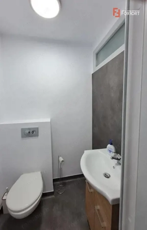 Spatiu Sad de inchiriat in apropiere de Iulius Mall - imagine 7