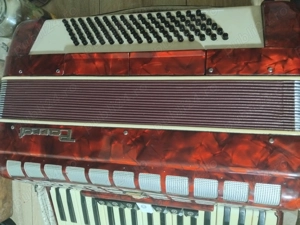 Parrot 96 basi 7 plus 2