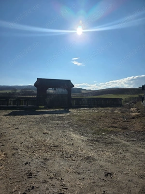 Poarta Maramureșeana