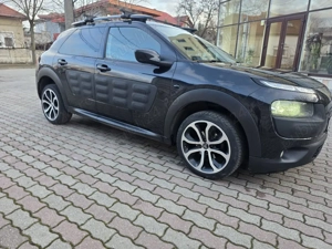 Vând sau schimb  Cactus,2015