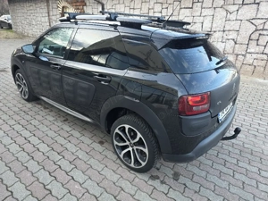 Vând sau schimb  Cactus,2015 - imagine 5