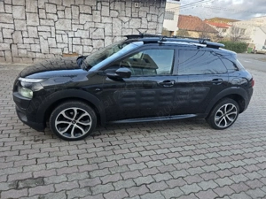 Vând sau schimb  Cactus,2015 - imagine 3