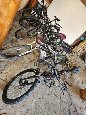 Biciclete electrice si Fat Bike