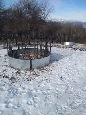 vand sau schimb iesele cu vitei 