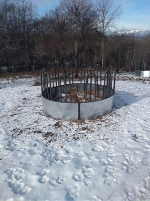 vand sau schimb iesele cu vitei  - imagine 2