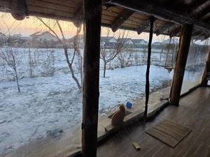 Vand vila in Horia - imagine 4