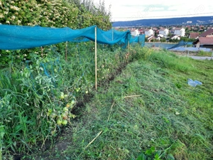 Vand teren intravilan Santana de Mures 811 MP - imagine 5