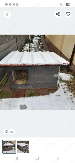 Vand doua custi caine noua - imagine 2