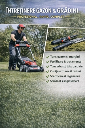 Gazon, tuia , gard viu, intertinere si curatare curti . Debarasare 