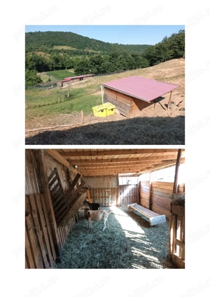 Casa cu ferma si pamanturi de vanzare  - imagine 4