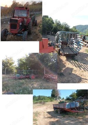 Casa cu ferma si pamanturi de vanzare  - imagine 5