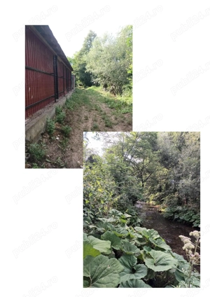 Casa cu ferma si pamanturi de vanzare  - imagine 6