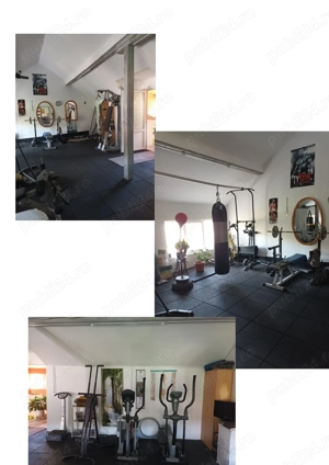 Casa cu ferma si pamanturi de vanzare  - imagine 3