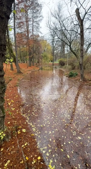 Relația romantică discretă 