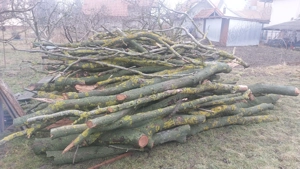 Lemn de foc NUC uscat  2,6 m    Girov, Neamț