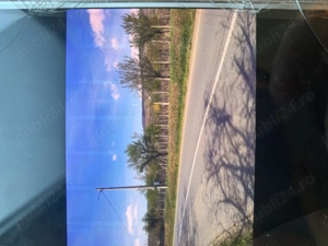 eren intravilan 3.000 mp   Pietroasele   Clondiru de Sus   utilități branșate - imagine 4