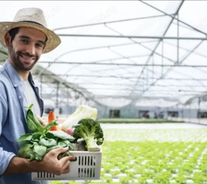 Locuri de muncă în Elveția   Agricultura și Germania   Construcții  - imagine 2