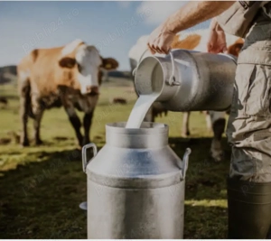 Locuri de muncă în Elveția   Agricultura și Germania   Construcții  - imagine 3