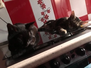 donez urgent  - imagine 2