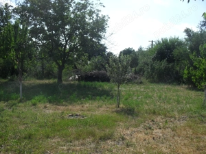 Casa comuna Stoicanești, județul Olt - imagine 4