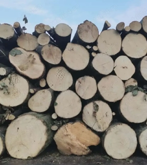 vand lemne de foc esenta tare carpen fag stejar - imagine 2