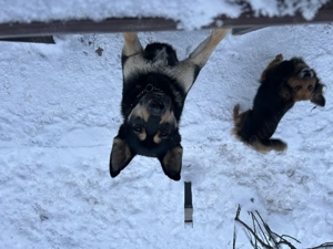 Angajez menajera interna pentru activități casnice - imagine 2