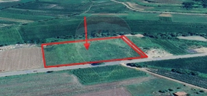 Teren intravilan 1.7 Ha, proiect hala industriala - Mosna DN141 - imagine 6