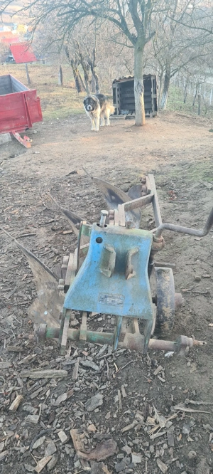 plug 3 cormane - imagine 5