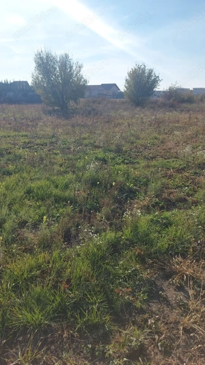 Teren intravilan Dumbravita , Creangă Profi Super 