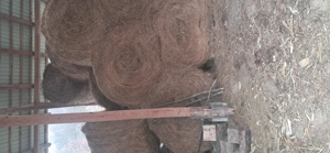 Vând balotat de fan 1,20 1,40 - imagine 3