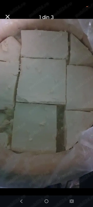 Vind telemea de oaie 