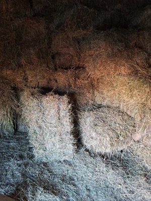 Baloti de lucerna  - imagine 4