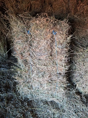 Baloti de lucerna  - imagine 3