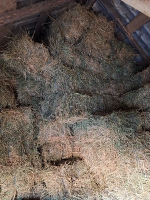 Baloti de lucerna  - imagine 2