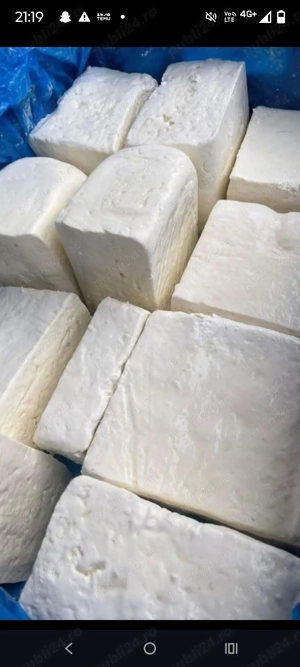 Vind telemea de oaie  - imagine 6