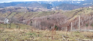 Teren Intravilan 4.608 mp în Sat Măgura   Priveliște Panoramică Bucegi și Piatra Craiului - imagine 3