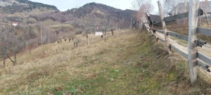 Teren Intravilan 4.608 mp în Sat Măgura   Priveliște Panoramică Bucegi și Piatra Craiului - imagine 4