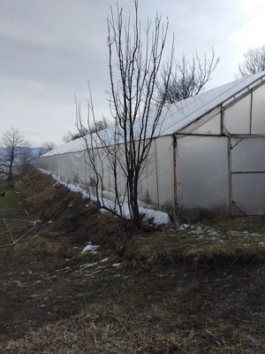 Solar - schelet metalic complet