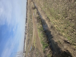 Vand teren carcea dolj