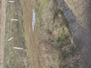 Vand teren carcea dolj - imagine 2