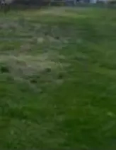 De inchiriat teren intravilan Pitesti