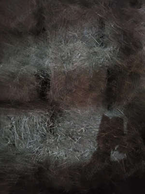 Vănd 200 baloți de făn - imagine 3