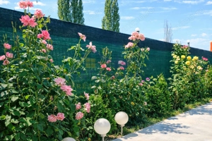 Casă Puchenii Mari DN1 - Teren 1000mp-Centrală Gaz-Renovat interior - imagine 12