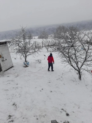vând casă în Sângeorgiu de Mureș  - imagine 6