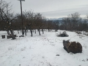 Teren de vanzare , Casă de vanzare +500mp