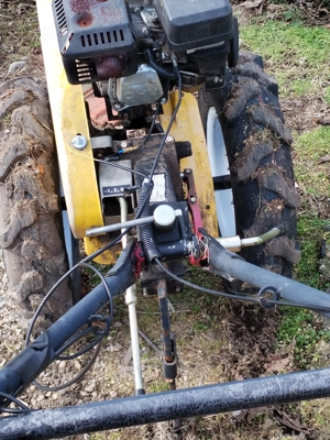                      Vasile  mmmmmmmmmmmmm                                               - imagine 2