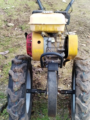                      Vasile  mmmmmmmmmmmmm                                              